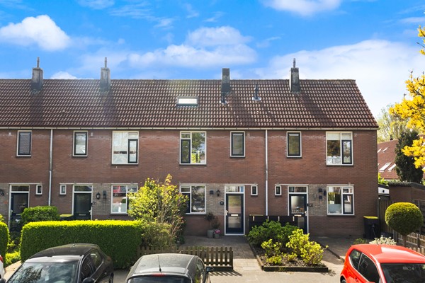 Scholekster 41_03.jpg